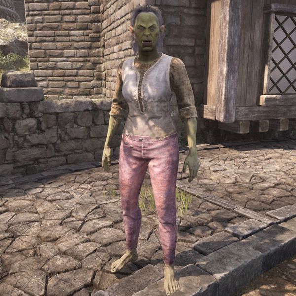 File:OBR-npc-Homraz gra Morgrump.jpg