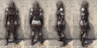 ON-item-armor-Exile's Revenge Light Jerkin Female.jpg