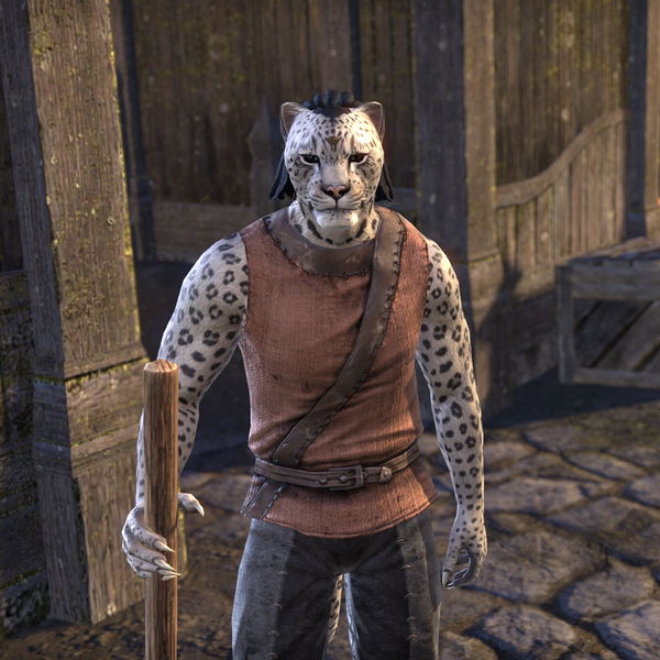 File:ON-npc-Huzdargo.jpg