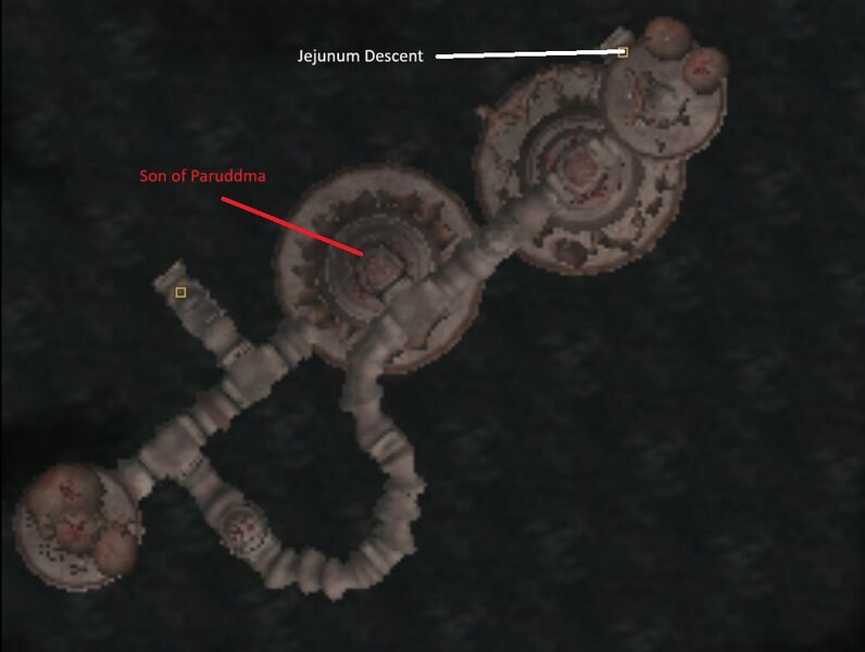 File:TR3-map-Paruddma's Maw, Duodenum Passage.jpg
