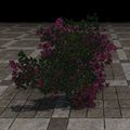 Thumbnail for version as of 20:37, 19 April 2025