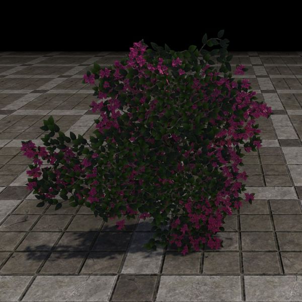 File:ON-furnishing-Flower Patch, Summertide 02.jpg