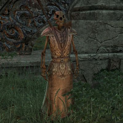 Online Skeletal Dreadmage The Unofficial Elder Scrolls Pages UESP