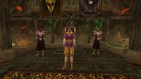 TR3-quest-Cleaning Up.jpg