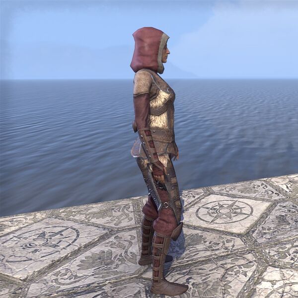 File:ON-costume-Red Rook Armor (side).jpg
