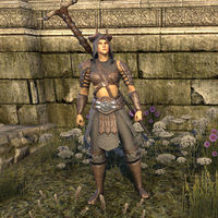 ON-item-armor-Minotaur Style light armor (female).jpg