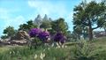 Thumbnail for version as of 15:22, 1 June 2025