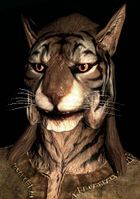 SR-race-Khajiit (male).jpg