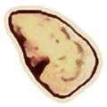 Thumbnail for version as of 18:06, 29 May 2025