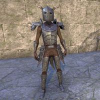 Nedic Perena Armor (male)