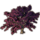 ON-icon-furnishing-Tree, Large Pink Maple.png