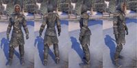 ON-item-armor-Skaal Explorer Style Female.jpg