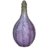 Alocasia Fruit