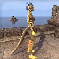 ON-skin-Blaze of Akatosh (Argonian) 02.jpg