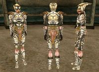 MW-item-Chitin Armor Female.jpg