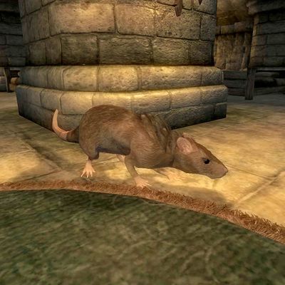 Oblivion Schemer The Unofficial Elder Scrolls Pages UESP