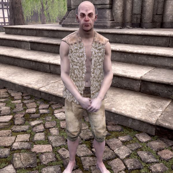 File:OBR-npc-Bruccius the Orphan.jpg