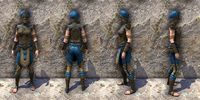 ON-item-armor-Pellitine Light Jerkin Female.jpg