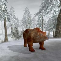 BM-creature-Grizzly Bear.jpg