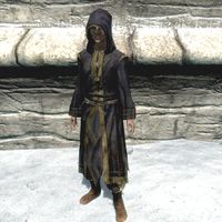 BS5C-item-Synod Robes.jpg