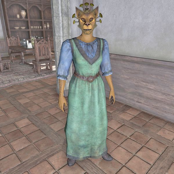 File:OBR-npc-Tsrava 02.jpg