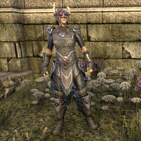 Nord Hero Armor (female)