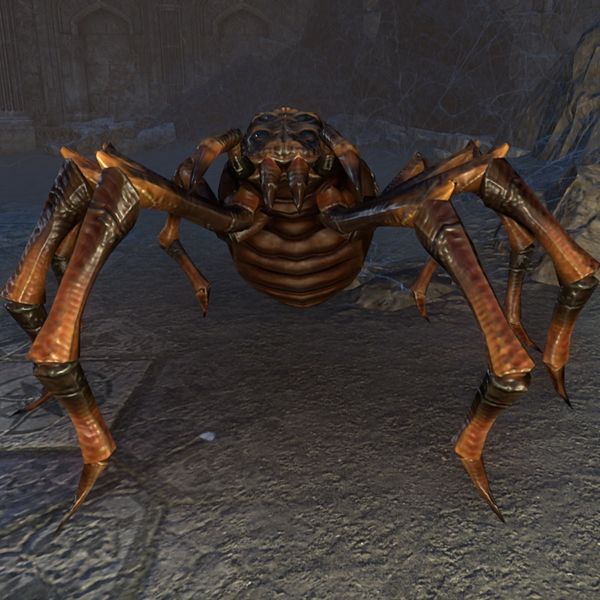 File:ON-creature-Enlarged Spider.jpg