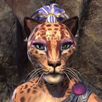 ON-hairstyle-High Elven Instigator 04.jpg