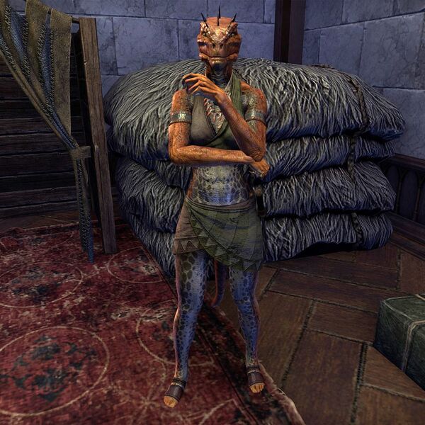 File:ON-npc-Teeba-Dimik.jpg