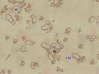 OB-map-Cursed Mine Exterior.jpg