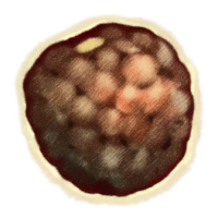 OBR-icon-ingredient-Blackberry.png