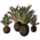 ON-icon-furnishing-Plant Cluster, Palmetto.png