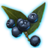 ON-icon-misc-Onyx Berries of Bloom.png