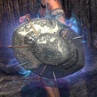 ON-item-armor-Order of the Lamp Shield.jpg
