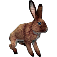 SR-icon-Pets of Skyrim.png
