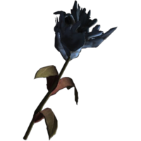 SR-icon-ingredient-Blue Mountain Flower.png