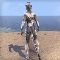 ON-skin-Ardor's Devotion (Khajiit) 03.jpg