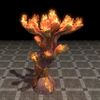 ON-furnishing-Antler Coral, Glowing Branched Crimson.jpg