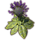 ON-icon-furnishing-Plant, Wilted Hist Bulb.png