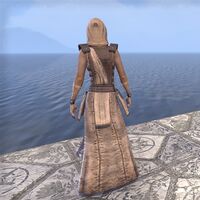 ON-costume-Courier Uniform (back).jpg