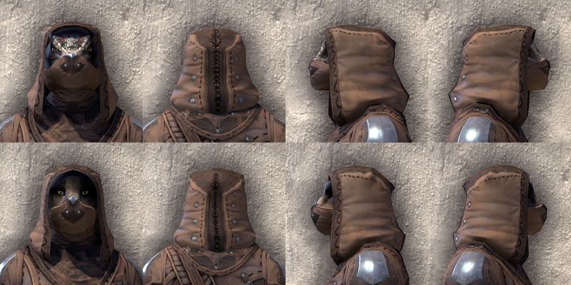 File:ON-item-armor-Assassins League Medium Beast Races.jpg