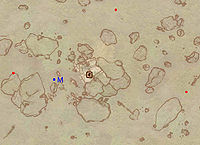 OB-map-Anga Exterior.jpg