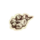 OBR-icon-ingredient-Daedroth Teeth.png