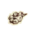 OBR-icon-ingredient-Daedroth Teeth.png