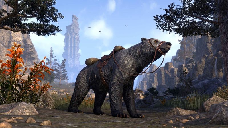 File:ON-crown store-Dragontail Mountain Bear.jpg