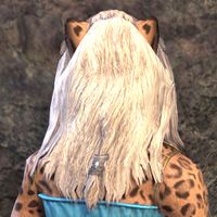 ON-hairstyle-Long Foregathered Mane 03.jpg