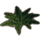 ON-icon-furnishing-Fern Plant, Low Lush.png