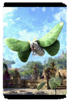 ON-card-Springlight Moth.png