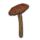 ON-icon-furnishing-Mushroom, Young Netch Shield.png