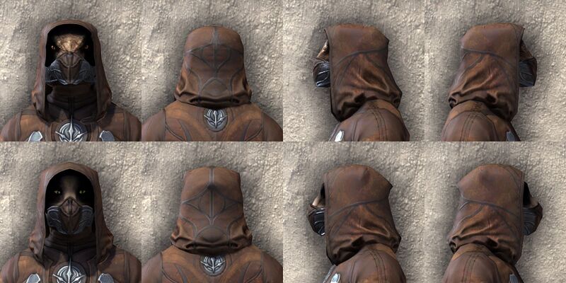 File:ON-item-armor-Outlaw Medium Beast Races.jpg